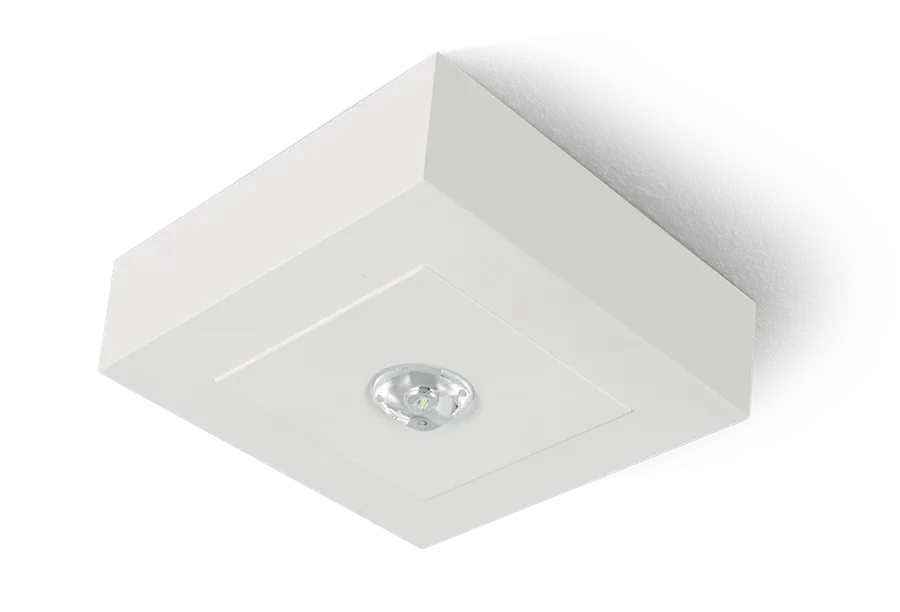 VIALED EVO MINI BOX