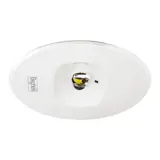 L.LARGA DWRC LGS24 LS-UV