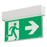 IRONFLAG LG230 30M