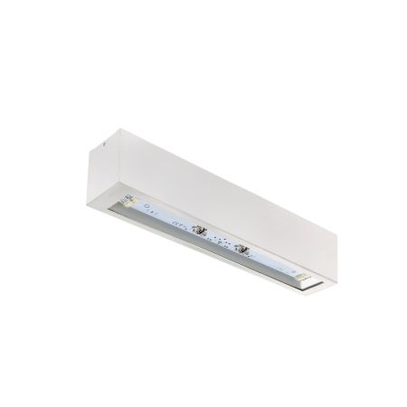PRIMO A TM-A0.F1.BD04W